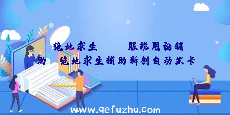 「绝地求生kakao服能用的辅助」|绝地求生辅助新创自动发卡